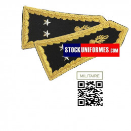 Pattes épaules Général 2 étoiles pour spencer Gendarmerie