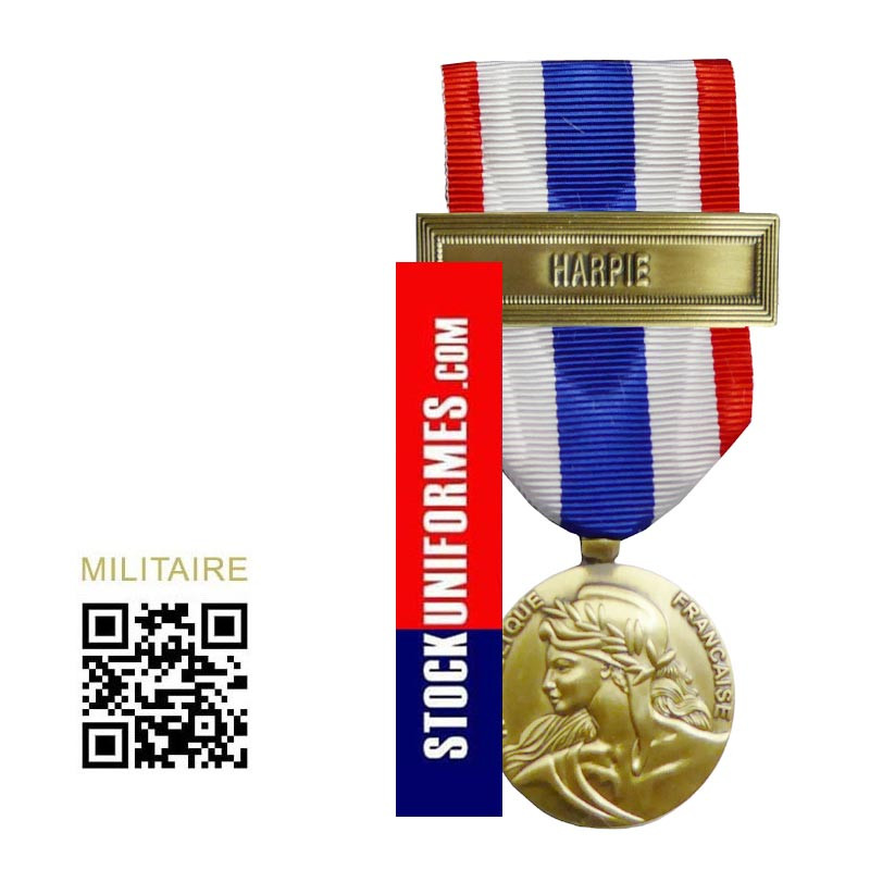 Médaille Protection Militaire du Territoire agrafe Harpie