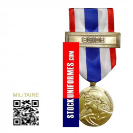 Médaille Protection Militaire du Territoire agrafe Egide