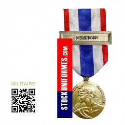 Médaille Protection Militaire du Territoire agrafe Sentinelle
