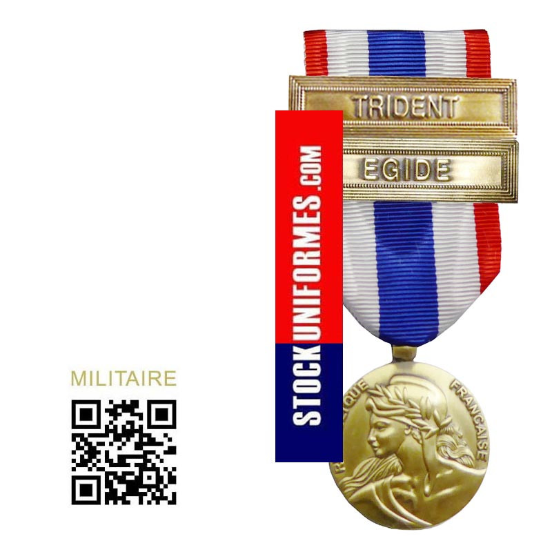 Médaille Protection Militaire du Territoire agrafes Trident et Egide