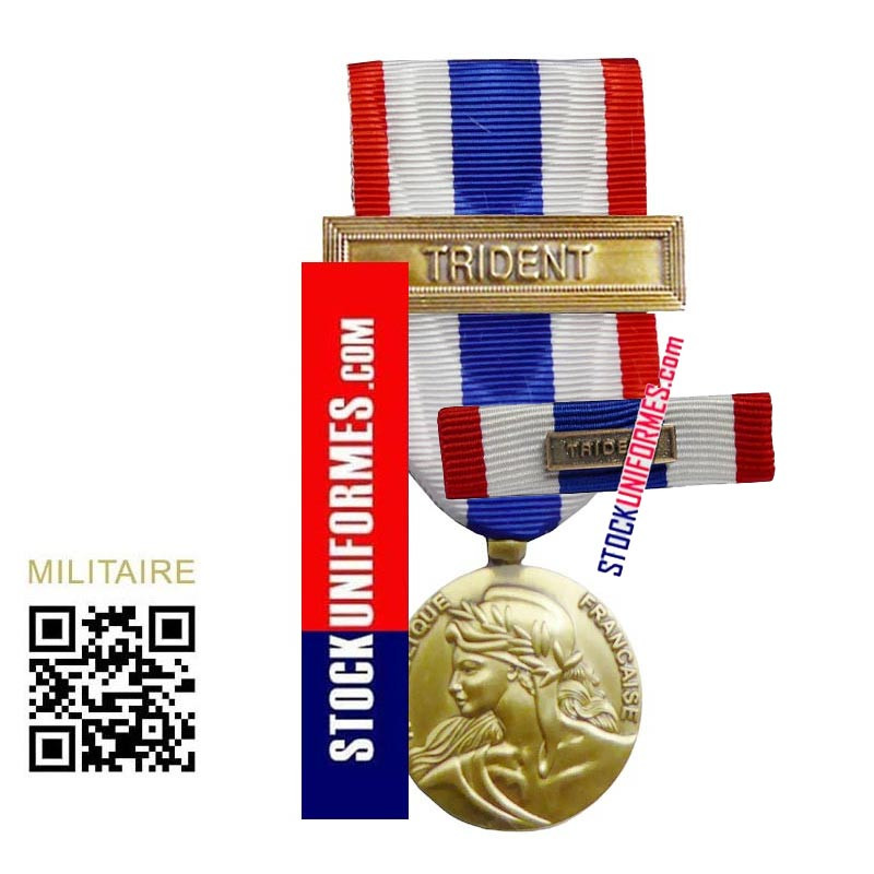 Médaille et sa Barrette Protection Militaire du Territoire agrafe TRIDENT