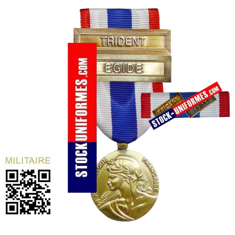 Médaille avec sa Barrette Protection Militaire du Territoire agrafes TRIDENT et EGIDE