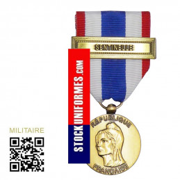 Médaille protection militaire du territoire modèle bonnet phrygien Agrafe SENTINELLE