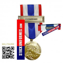 Médaille et Barrette Protection Militaire du Territoire agrafe SENTINELLE
