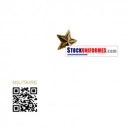 Etoile bronze réduction pour barrette