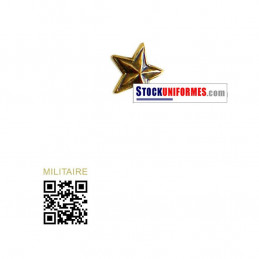 Etoile bronze Ordonnance pour Médaille