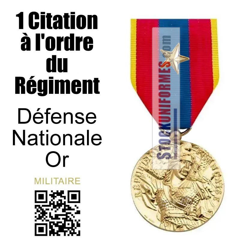 Médaille ordonnance Défense Nationale Or agrafe Etoile Bronze Citation