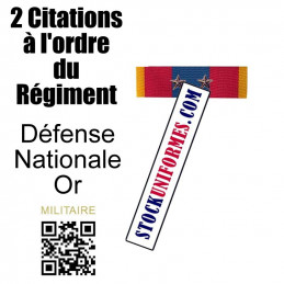 BARRETTE DIXMUDE DEFENSE NATIONALE OR AGRAFES 2 ETOILES BRONZE