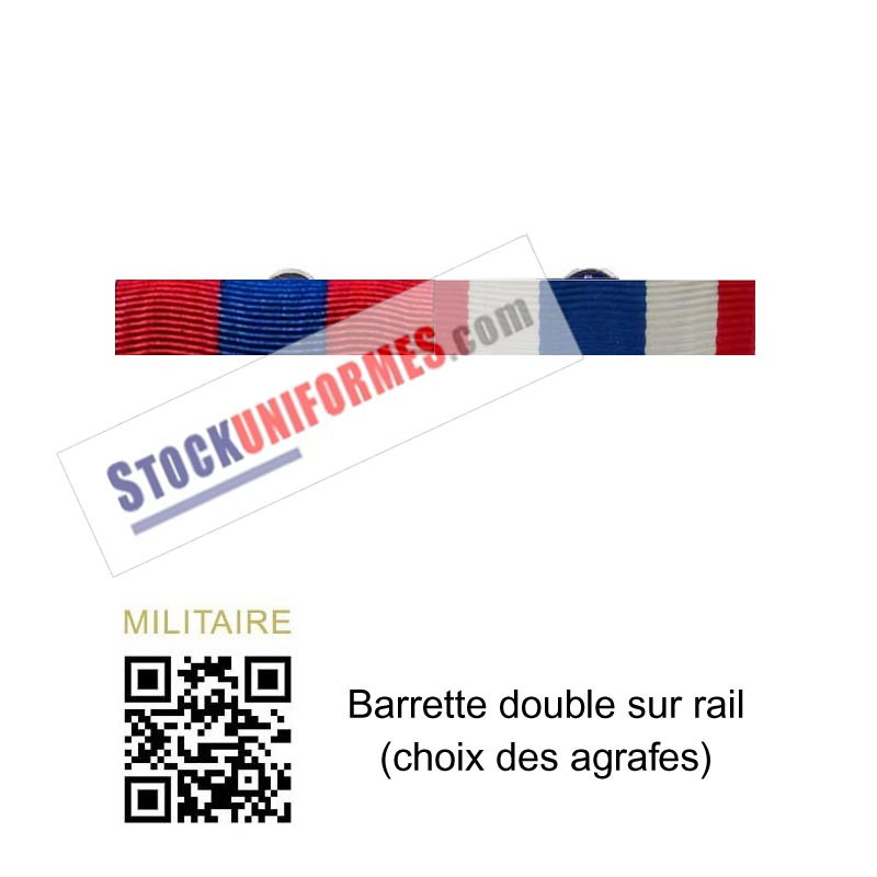 Double Barrette sur rail Défense Nationale Bronze et Protection Militaire du Territoire