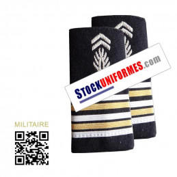 Fourreaux BRODES MAIN EN CANNETILLE Lieutenant-Colonel Gendarmerie Départementale