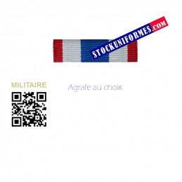 Barrette dixmude Protection Millitaire du Territoire - agrafe au choix