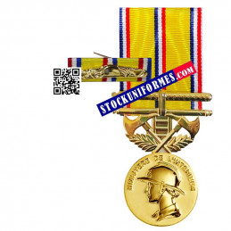 Médaille avec sa barrette Sapeurs-pompiers grand or 40 ans d'ancienneté