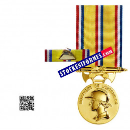 Médaille avec sa barrette Sapeurs-pompiers or 30 ans d'ancienneté