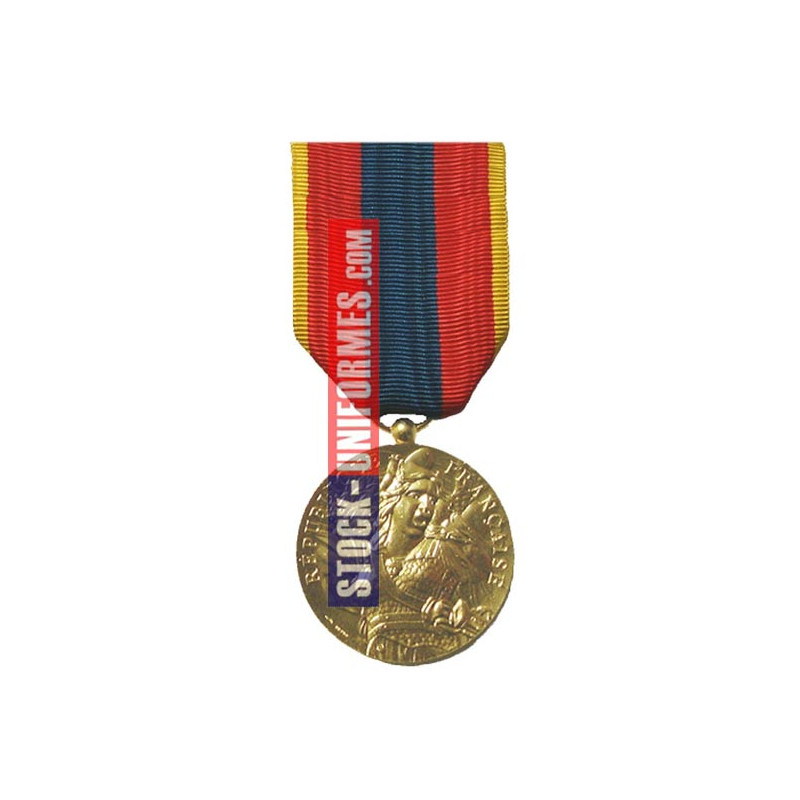 Médaille ordonnance Défense Nationale Or - AGRAFE EN OPTION Médaille ordonnance Défense Nationale Or - AGRAFE EN OPTION