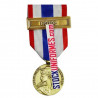 Médaille Protection Militaire du Territoire agrafe Egide