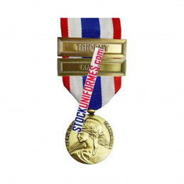 Médaille Protection Militaire du Territoire agrafes Harpie et Trident
