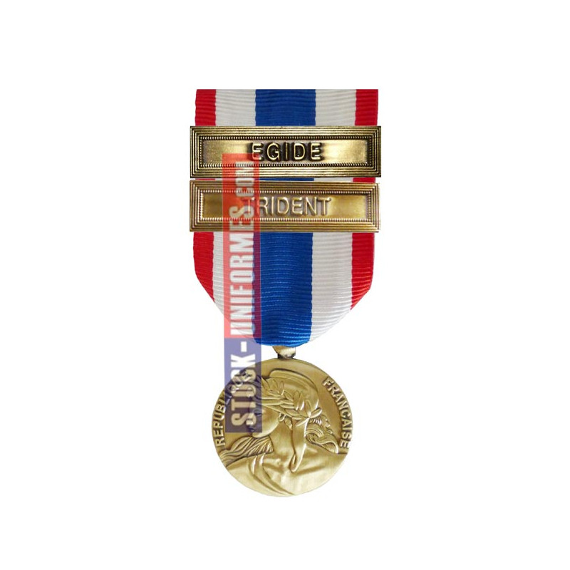 Médaille Protection Militaire du Territoire agrafes Trident et Egide