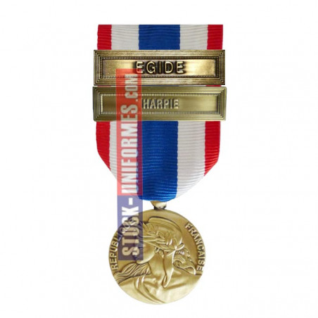 Médaille Protection Militaire du Territoire agrafes Harpie et Egide