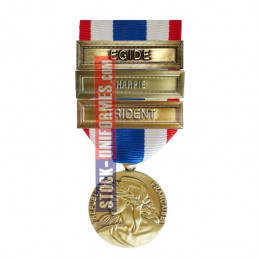 Médaille Protection Militaire du Territoire agrafes Harpie et Egide et Trident