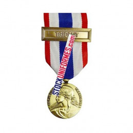 Médaille Protection Militaire du Territoire agrafe Trident