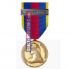 Médaille Or Réserviste Volontaire de Défense et Sécurité Intérieure - Réserve Citoyenne