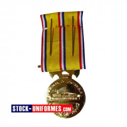 Médaille Sapeurs-pompiers 30 ans d'ancienneté échelon Or