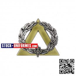 Brevet secouriste argent