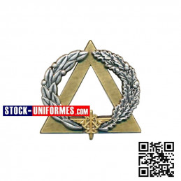 Brevet secouriste Or