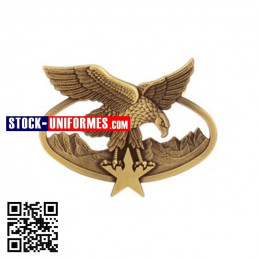 Brevet Montagne militaire bronze avec étoile bronze