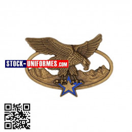 Brevet Montagne militaire bronze avec étoile bronze et bleue