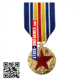Médaille des blessés militaires - médaille ordonnance