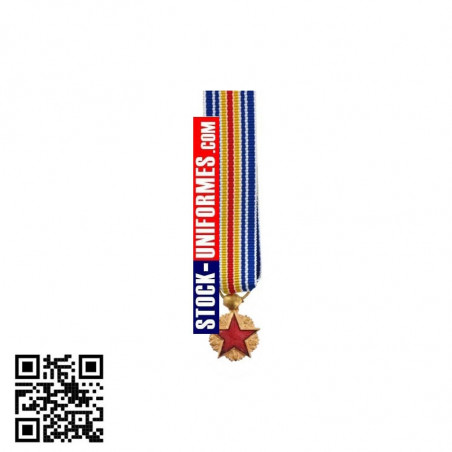 Médaille des blessés militaires - médaille réduction