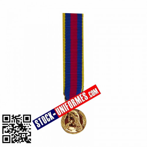 Médaille Or Réduction Réserviste Volontaire de Défense et Sécurité Intérieure