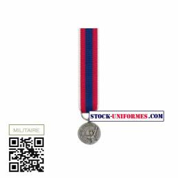 Médaille Réduction Défense Nationale Argent AGRAFE EN OPTION