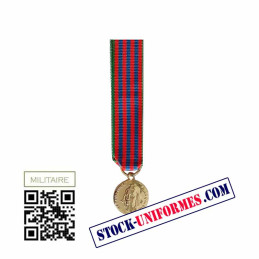 Médaille Commémorative Française Réduction