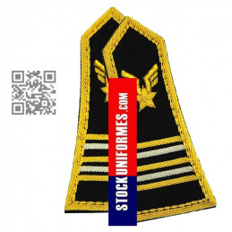 Pattes épaules ALAT LIEUTENANT-COLONEL pour Spencer