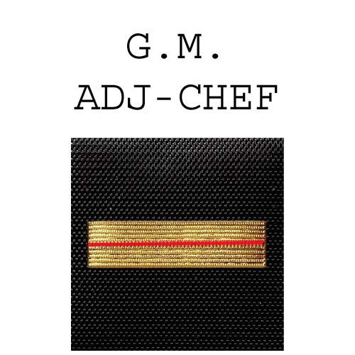 Adjudant -Chef gendarmerie mobile et garde républicaine képi et galons